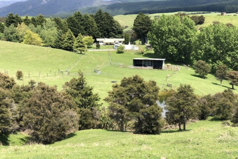 Photo of property in 1098 Glenross Road, Waiwhare, Hastings, 4179
