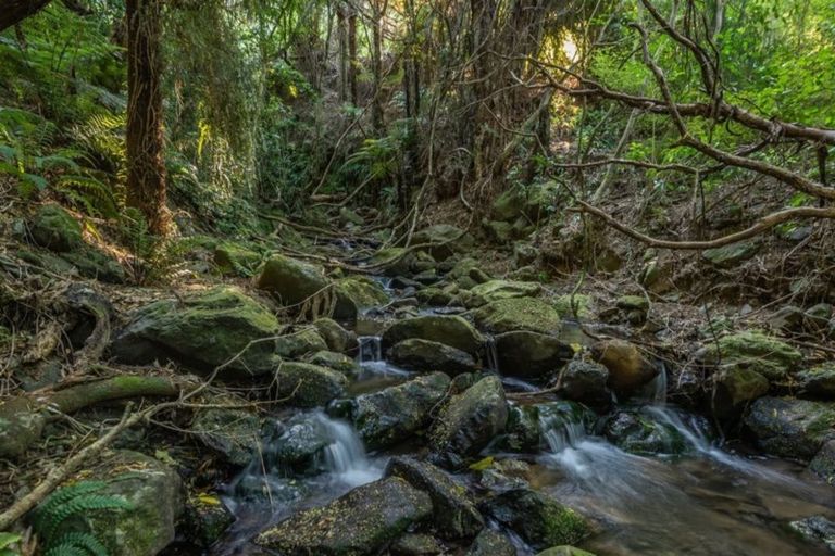 Photo of property in 102 Reynolds Valley Road, Okuti Valley, Little River, 7591