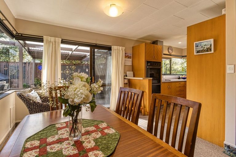 Photo of property in 23 Tanner Street, Havelock North, 4130