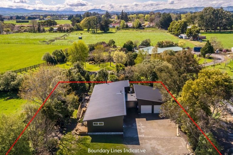 Photo of property in 38a Colville Street, Masterton, 5810