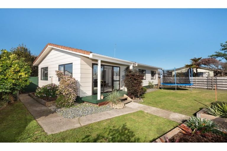 Photo of property in 14 College Place, Poike, Tauranga, 3112