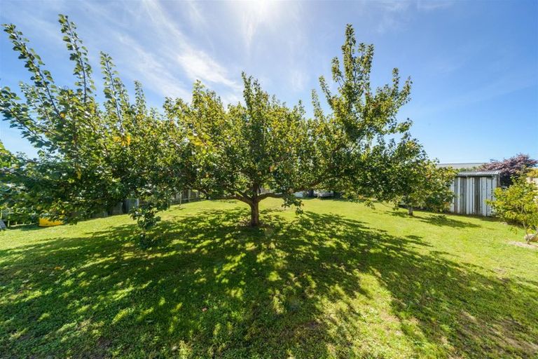 Photo of property in 28 Alexandra Street, Marton, 4710