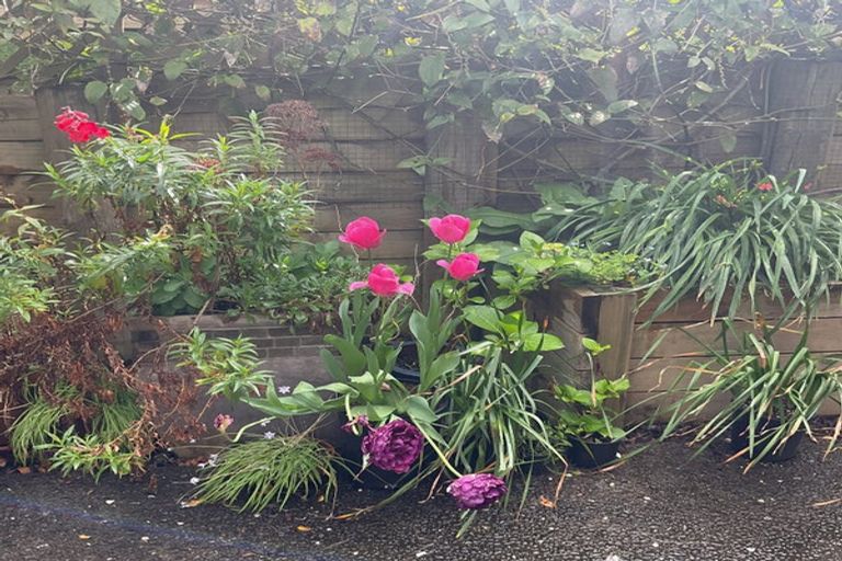 Photo of property in 17 Ridgedale Road, Silverdale, 0932