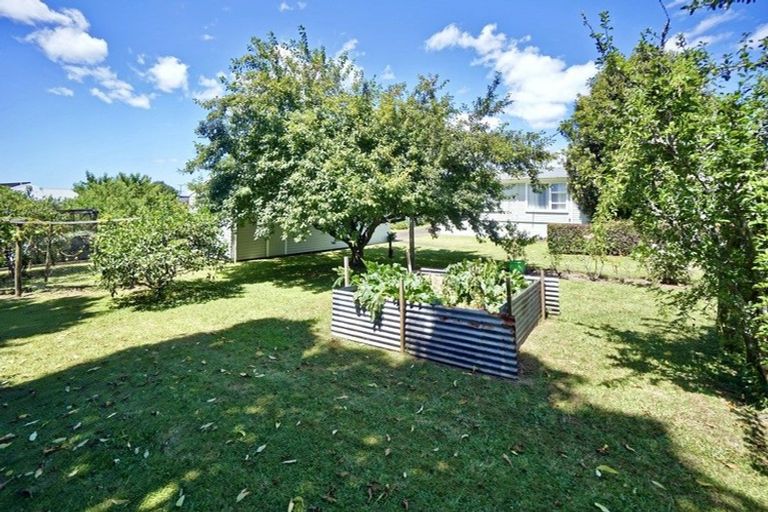 Photo of property in 261 Boucher Avenue, Te Puke, 3119