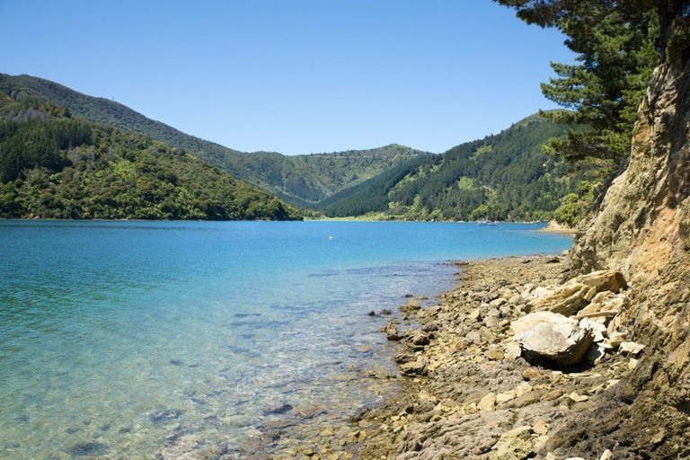 Photo of property in 440 Port Underwood, Whatamango Bay, Picton, 7281