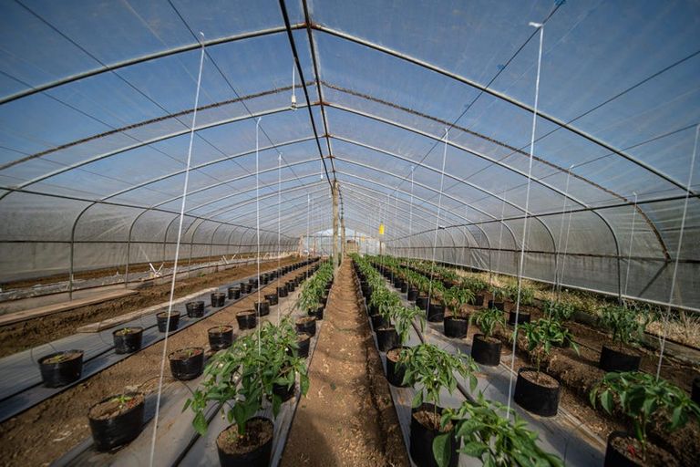 Photo of property in 389 Waiuku Road, Puni, Pukekohe, 2678