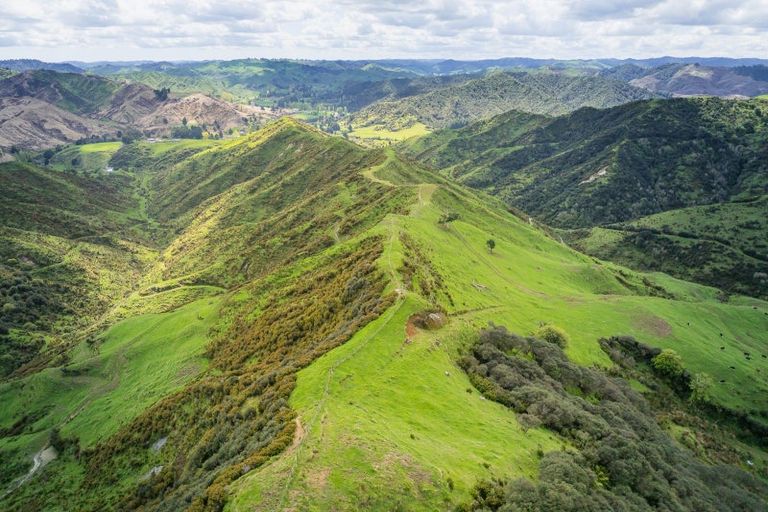 Photo of property in 987 Mangaehu Road, Puniwhakau, Stratford, 4392