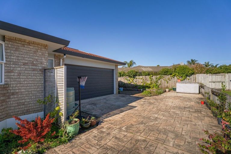 Photo of property in 39 Springbok Avenue, Whitianga, 3510