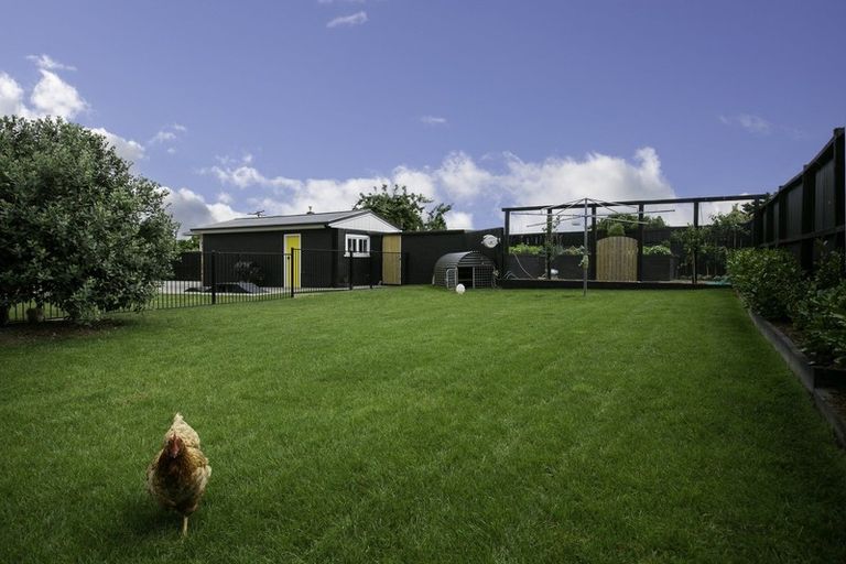 Photo of property in 9 Froude Street, Leamington, Cambridge, 3432