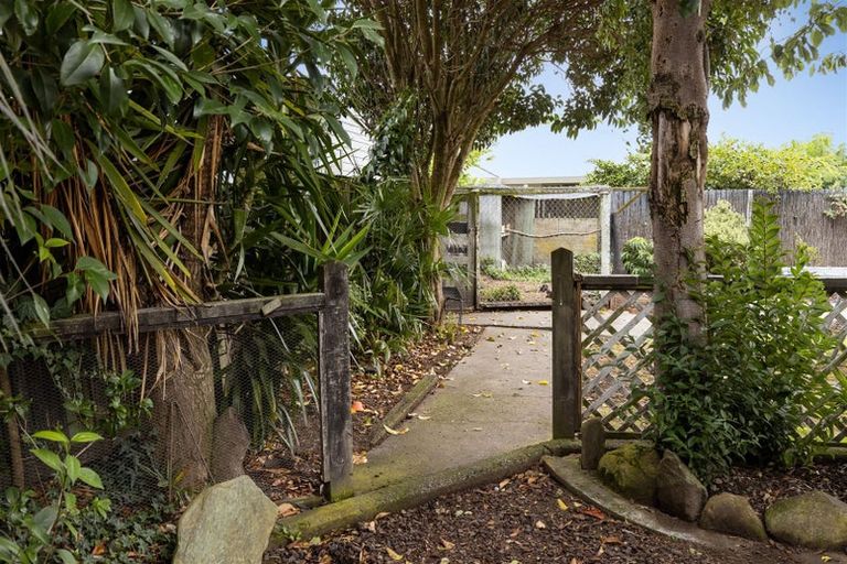 Photo of property in 44 Brydon Street, Renwick, 7204