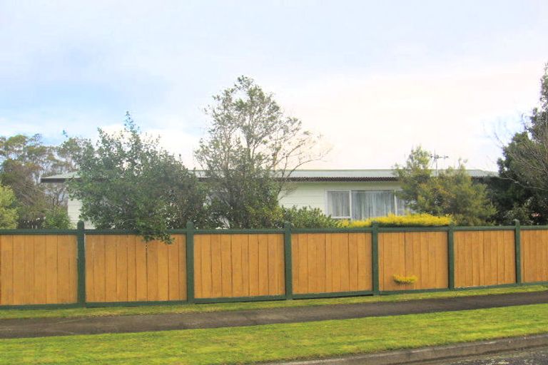 Photo of property in 17 Wild Street, Feilding, 4702
