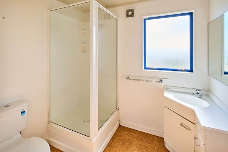 Photo of property in 133 Hornsey Road, Melrose, Wellington, 6023