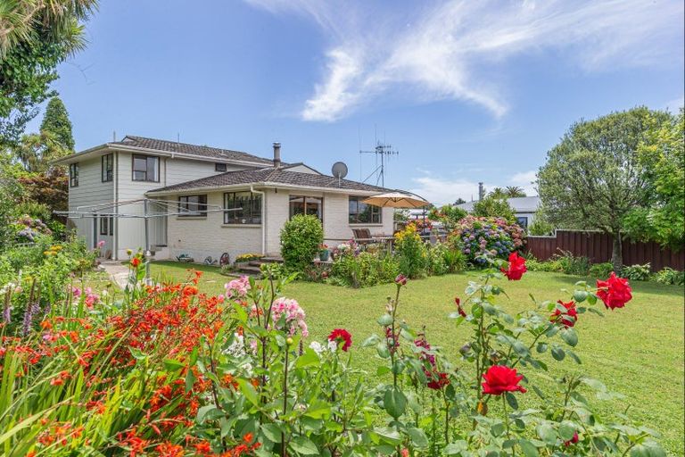 Photo of property in 12 Gardener Street, Levin, 5510