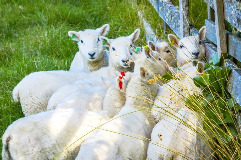 Photo of property in 401 Wright Road, Matakana, Warkworth, 0985