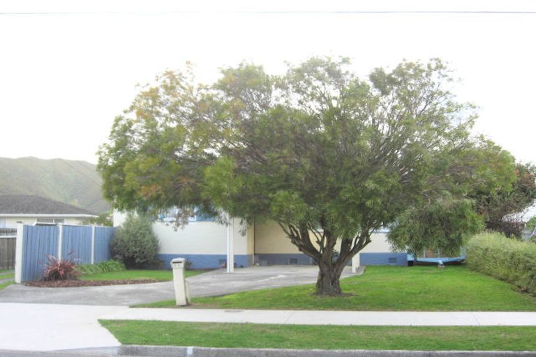 Photo of property in 1/68 Dyer Street, Epuni, Lower Hutt, 5011