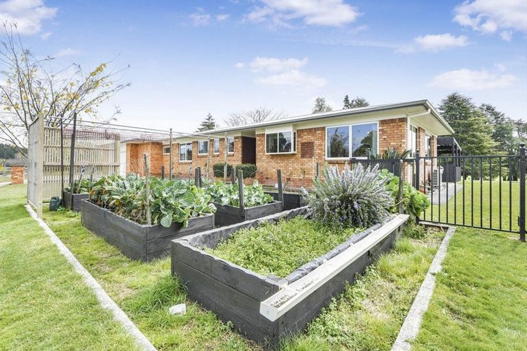 Photo of property in 31 Mcghie Road, Kihikihi, Te Awamutu, 3800