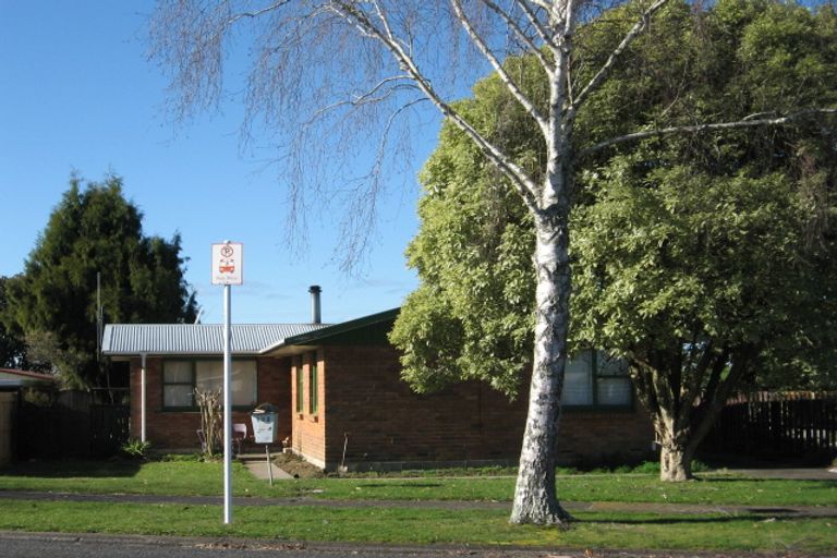 Photo of property in 132 Fairview Street, Chartwell, Hamilton, 3210