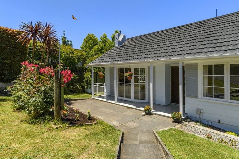 Photo of property in 91 Botanical Road, Tauranga South, Tauranga, 3112