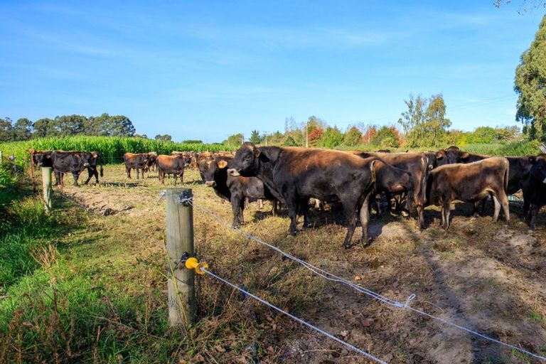 Photo of property in 414 Naughton Road, Kerrytown, Timaru, 7975