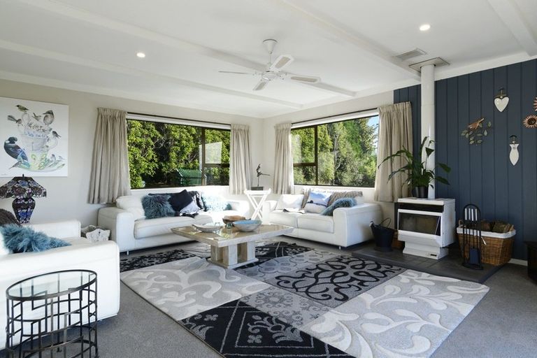 Photo of property in 313 Youngson Road, Whakamarama, Tauranga, 3179