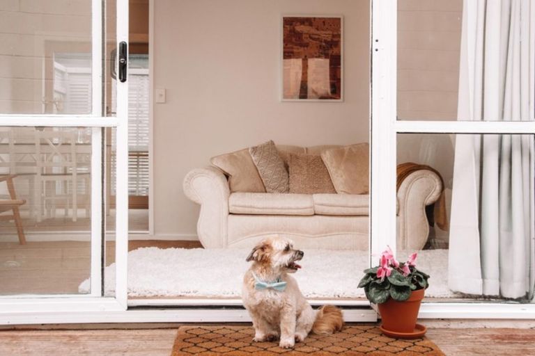 Photo of property in 12a Kiteroa Street, Greerton, Tauranga, 3112