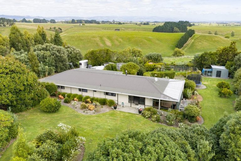 Photo of property in 846 Colyton Road, Bunnythorpe, Feilding, 4775