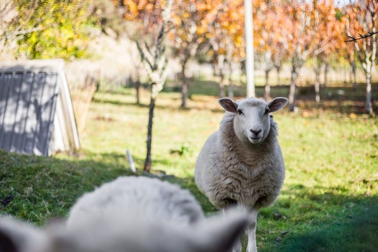 Photo of property in 26 Ngatiawa Road, Reikorangi, Waikanae, 5391
