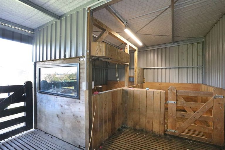 Photo of property in 255 Calico Line, Marton, 4787