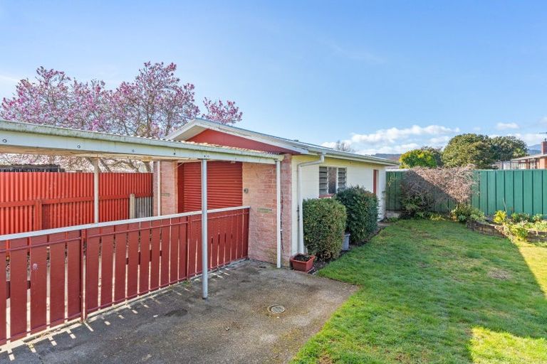 Photo of property in 46 Featherston Street, Levin, 5510