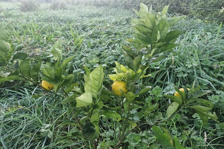 Photo of property in 48 Ohau Terraces, Ohau, 5570