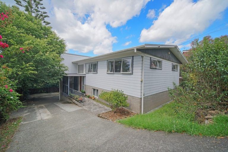 Photo of property in 51 Sunset Road, Totara Vale, Auckland, 0632