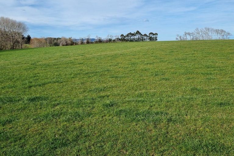 Photo of property in 41 Gray Road, Waitepeka, Balclutha, 9271