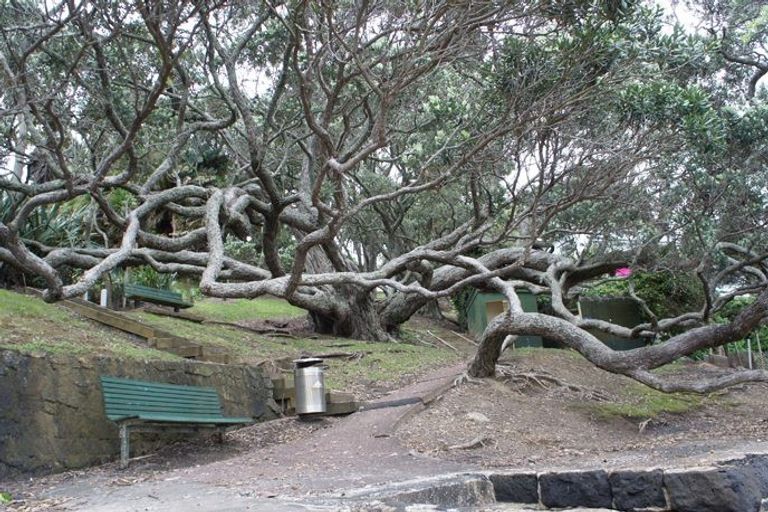 Photo of property in 3/23a Gladstone Road, Northcote, Auckland, 0627