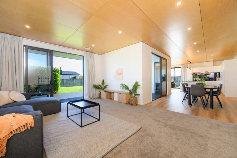 Photo of property in 123 Pharazyn Street, Feilding, 4702