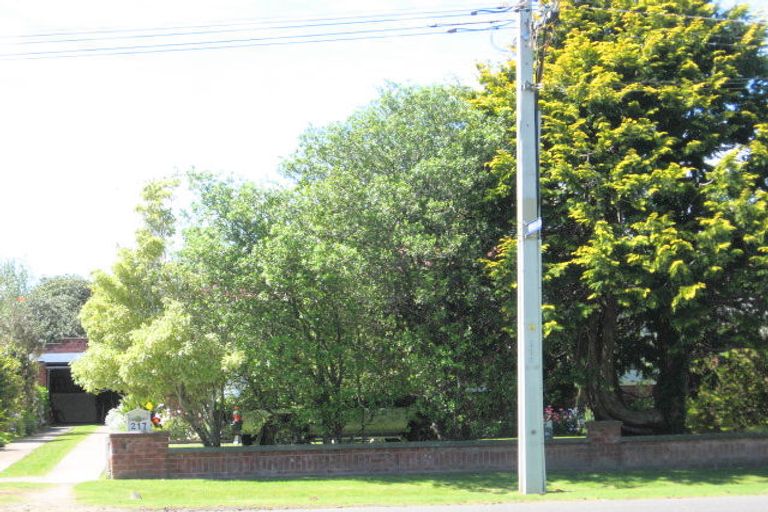 Photo of property in 217 Harris Street, Inner Kaiti, Gisborne, 4010