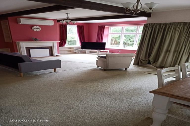 Photo of property in 49 Joblins Road, Levin, 5571