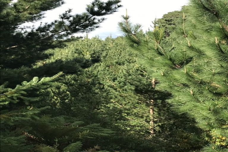 Photo of property in 487 Whangamata Road, Kinloch, Taupo, 3377