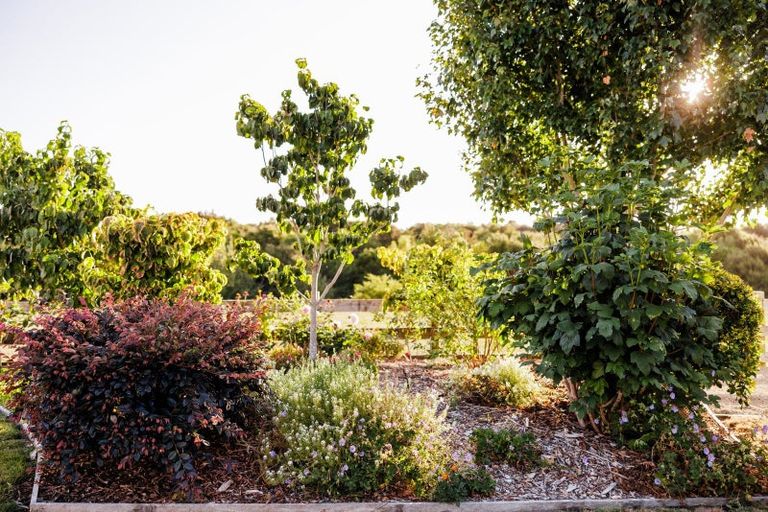 Photo of property in 45 Alan Livingston Drive, Cambridge, 3434