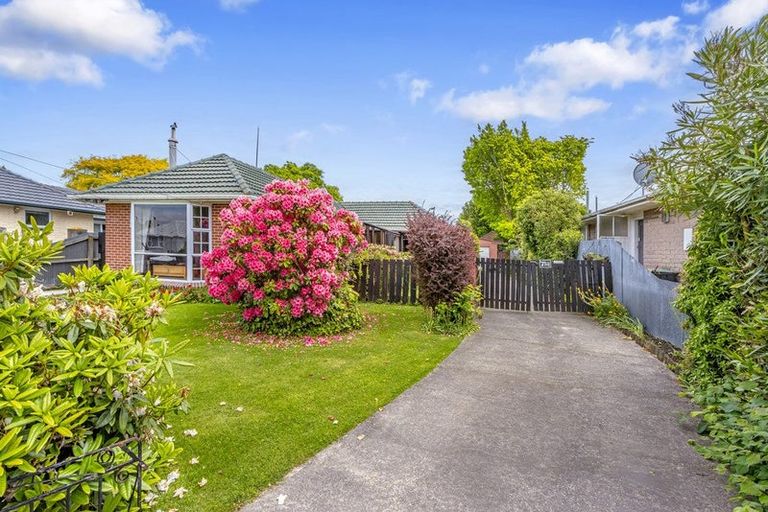 Photo of property in 41 Hindess Street, Halswell, Christchurch, 8025