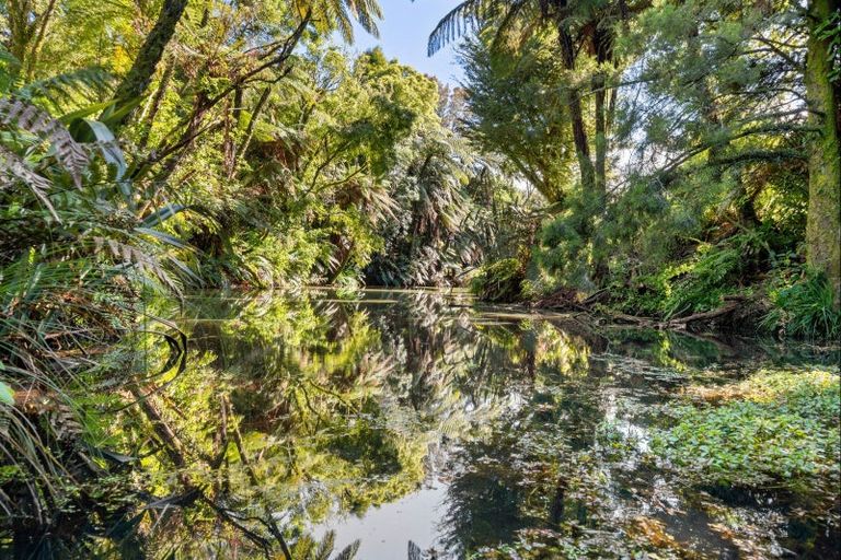 Photo of property in 66 Kent Terrace, Midhirst, Stratford, 4394