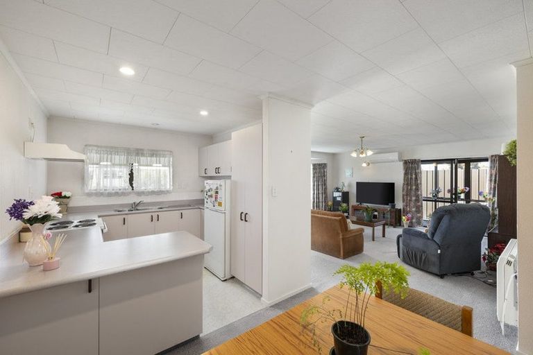 Photo of property in 17 Kiwi Street, Masterton, 5810