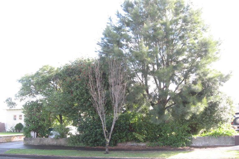 Photo of property in 7 Sidey Place, Marewa, Napier, 4110