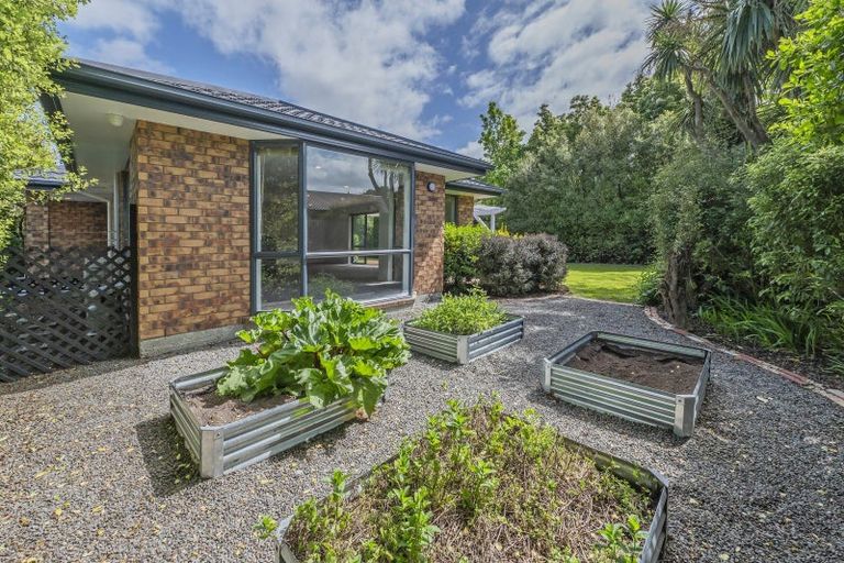 Photo of property in 16 Murray Place, Lincoln, 7608