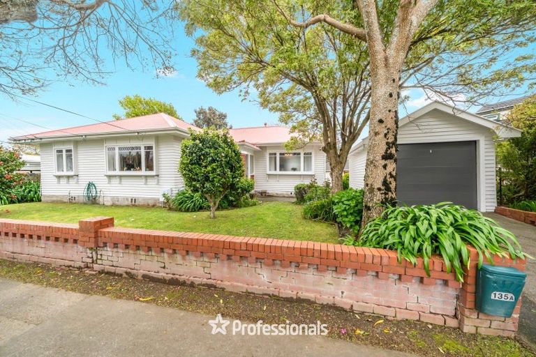 Photo of property in 135 Kings Crescent, Hutt Central, Lower Hutt, 5010