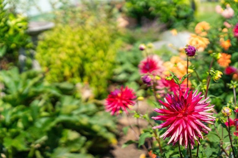 Photo of property in 148 Rangatira Drive, Mangakino, 3421