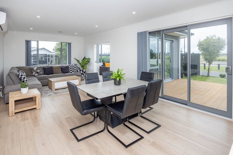 Photo of property in 31 Couldsack Avenue, Chartwell, Hamilton, 3210
