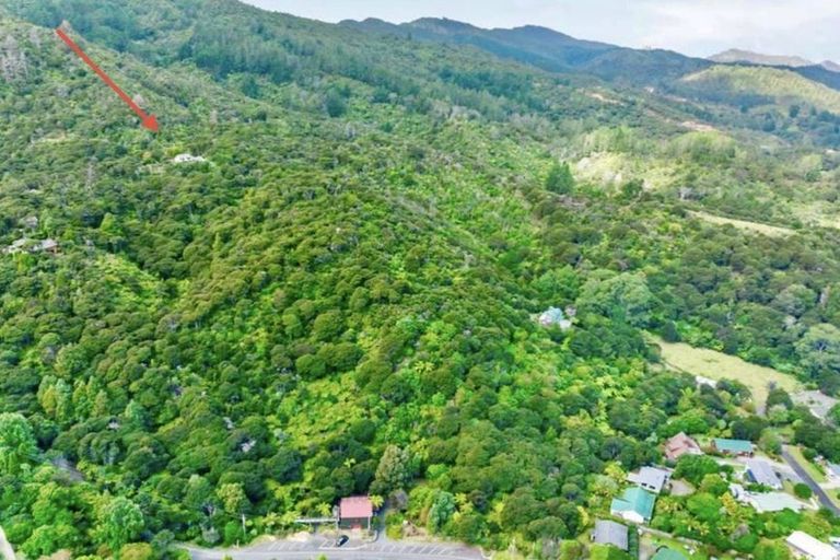Photo of property in 800 Buffalo Road, Coromandel, 3506