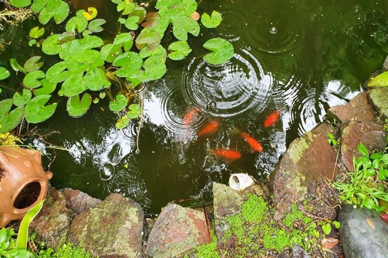 Photo of property in 814 Pyes Pa Road, Pyes Pa, Tauranga, 3173