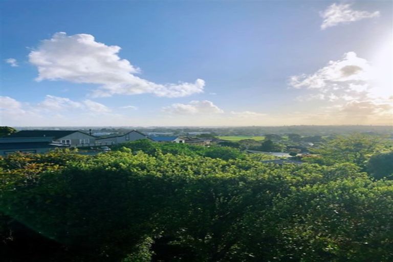 Photo of property in 16 Mccahill Views, Botany Downs, Auckland, 2010