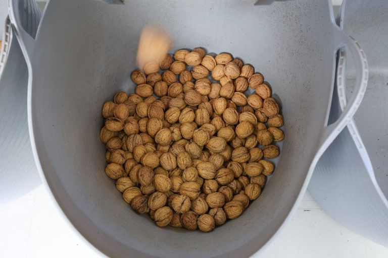 Photo of property in 60 Golden Hills Road, Appleby, Richmond, 7081